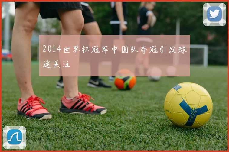 2014世界杯冠军中国队夺冠引发球迷关注